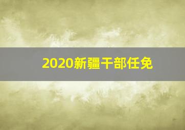 2020新疆干部任免