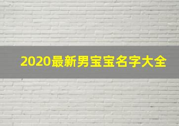 2020最新男宝宝名字大全