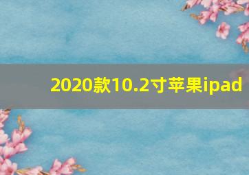 2020款10.2寸苹果ipad