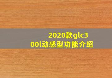 2020款glc300l动感型功能介绍