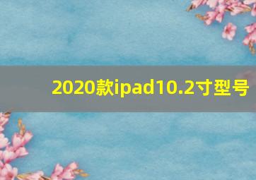 2020款ipad10.2寸型号