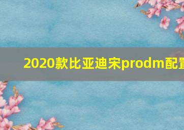 2020款比亚迪宋prodm配置