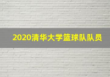 2020清华大学篮球队队员