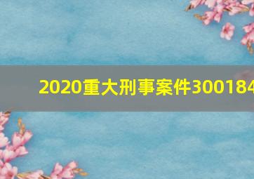 2020重大刑事案件300184