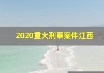 2020重大刑事案件江西