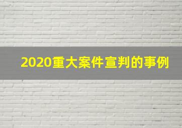 2020重大案件宣判的事例