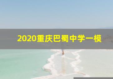 2020重庆巴蜀中学一模