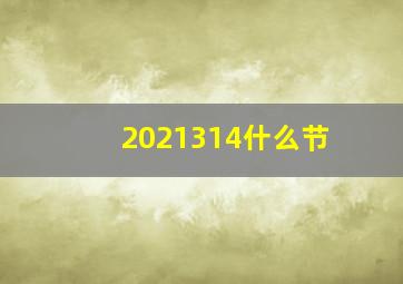 2021314什么节