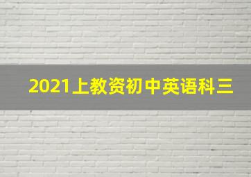 2021上教资初中英语科三