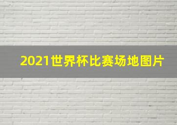 2021世界杯比赛场地图片