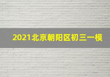 2021北京朝阳区初三一模