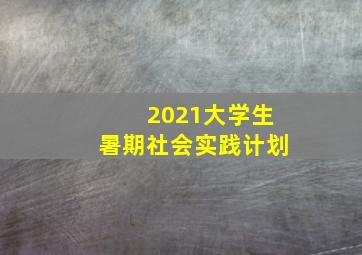 2021大学生暑期社会实践计划