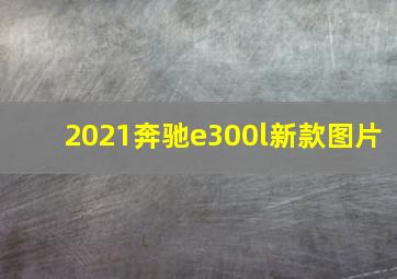 2021奔驰e300l新款图片