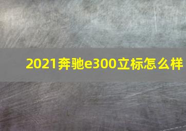 2021奔驰e300立标怎么样