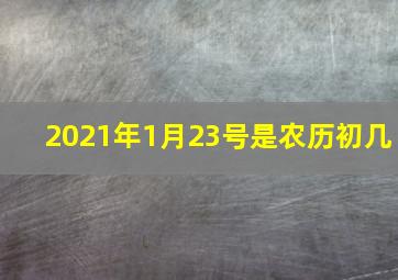 2021年1月23号是农历初几