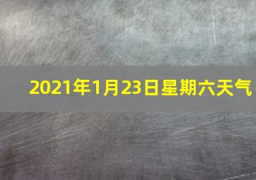 2021年1月23日星期六天气