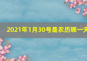 2021年1月30号是农历哪一天