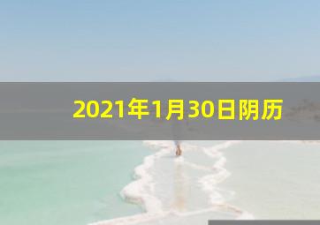 2021年1月30日阴历