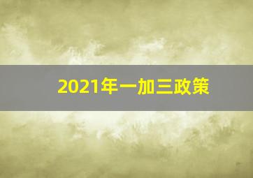 2021年一加三政策