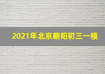 2021年北京朝阳初三一模