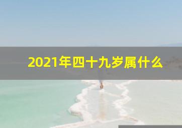 2021年四十九岁属什么