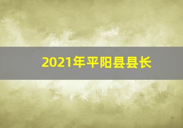 2021年平阳县县长