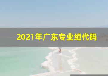 2021年广东专业组代码