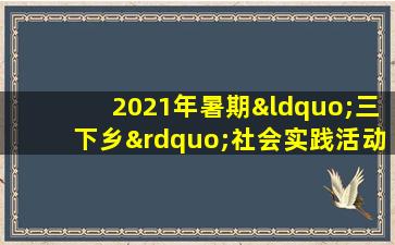 2021年暑期“三下乡”社会实践活动总结