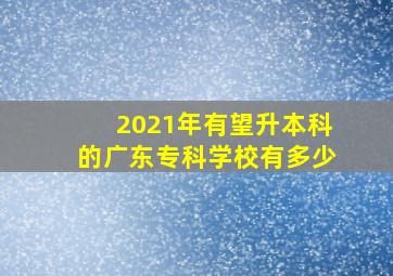 2021年有望升本科的广东专科学校有多少