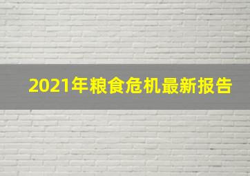 2021年粮食危机最新报告