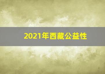 2021年西藏公益性