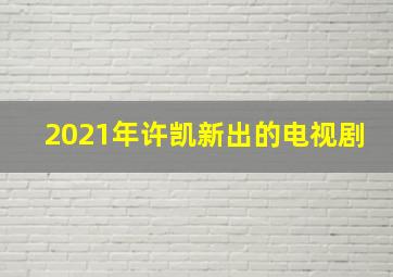 2021年许凯新出的电视剧