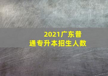 2021广东普通专升本招生人数