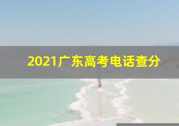 2021广东高考电话查分