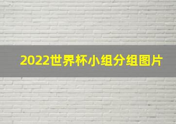 2022世界杯小组分组图片