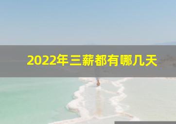 2022年三薪都有哪几天