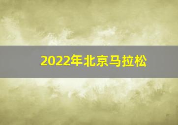 2022年北京马拉松