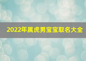 2022年属虎男宝宝取名大全