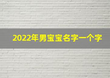 2022年男宝宝名字一个字