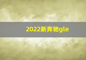 2022新奔驰gle