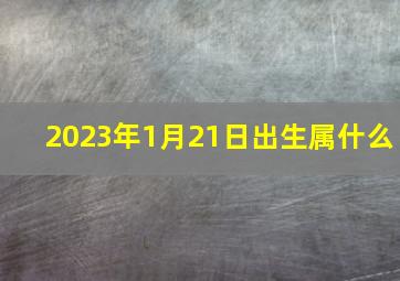 2023年1月21日出生属什么