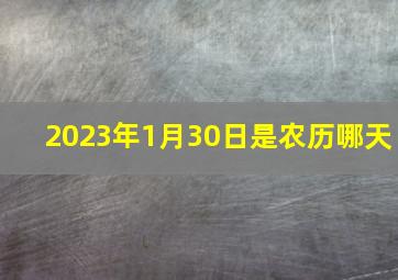 2023年1月30日是农历哪天