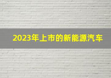 2023年上市的新能源汽车