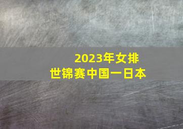 2023年女排世锦赛中国一日本