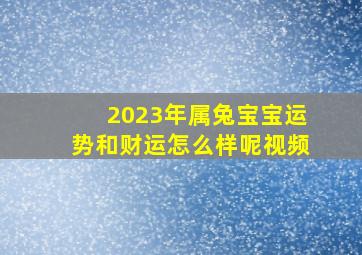 2023年属兔宝宝运势和财运怎么样呢视频