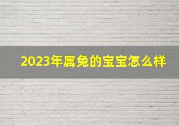 2023年属兔的宝宝怎么样