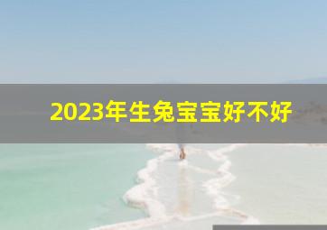 2023年生兔宝宝好不好