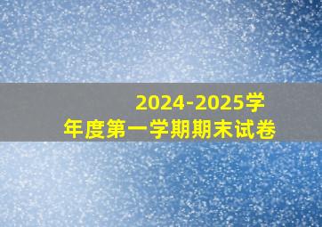 2024-2025学年度第一学期期末试卷