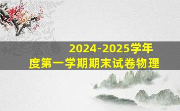 2024-2025学年度第一学期期末试卷物理