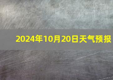 2024年10月20日天气预报